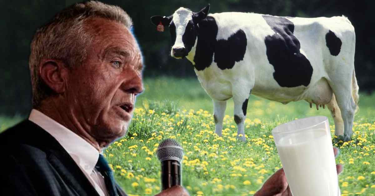 Internet Reacts to RFK Jr’s “I Only Drink Raw Milk” Declaration ...