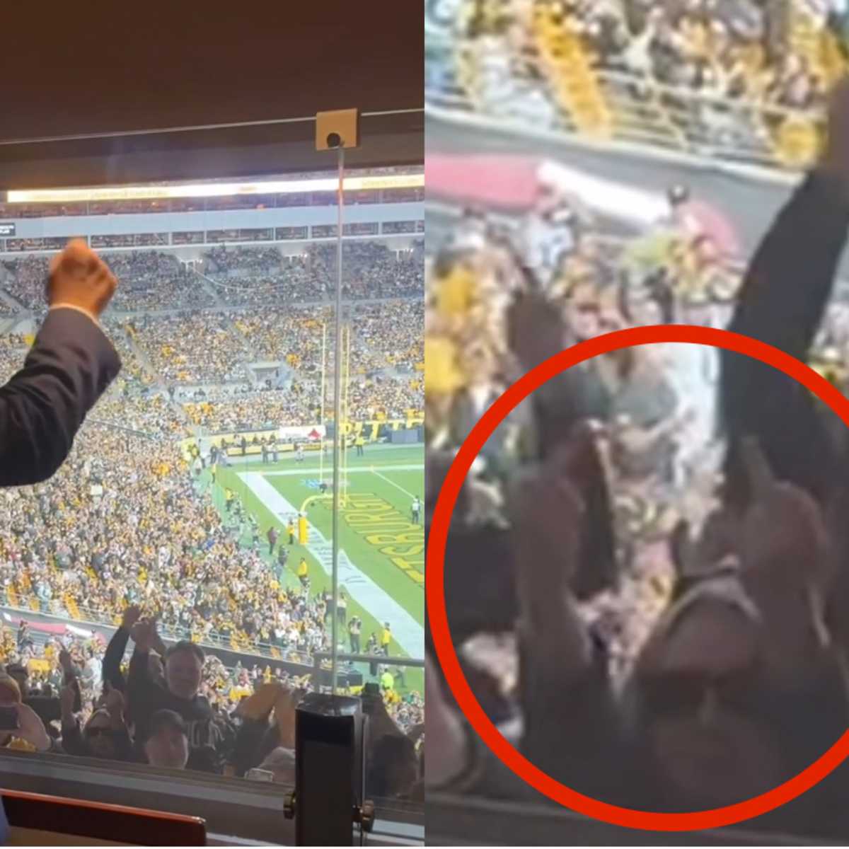 Oops! Trump Posts Video of Himself Getting Flipped Off at Steelers Game - MeidasTouch News