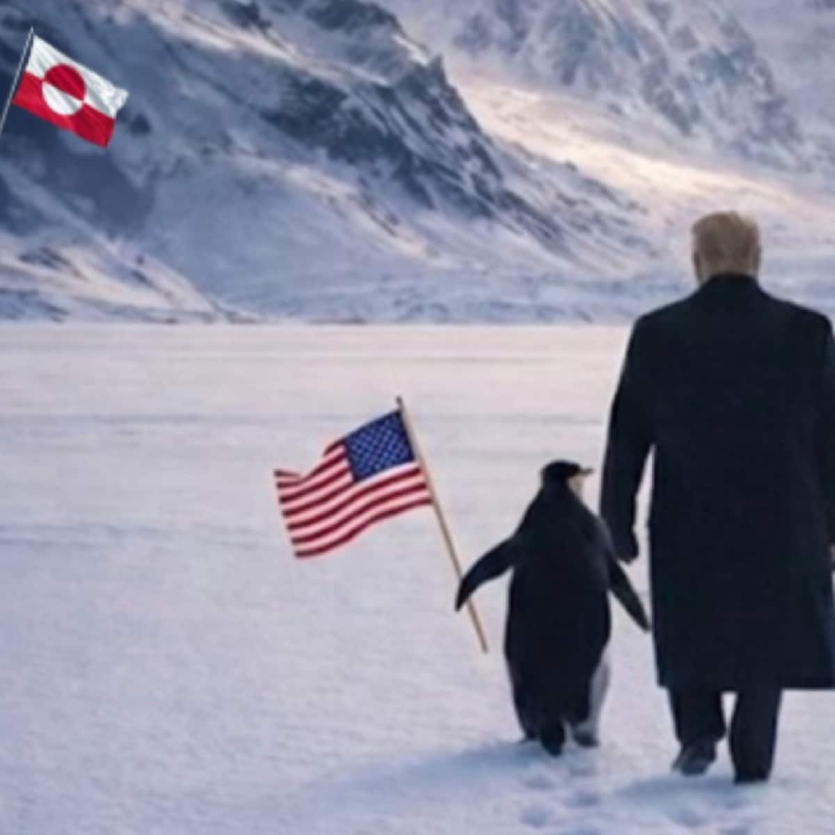White House Mocked After Implying Penguins Live in Greenland - MeidasTouch  News