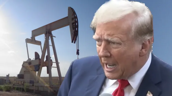 Trump Claims Low Gas Prices Are an OPEC Plot to Elect Kamala Harris (meidasnews.com)