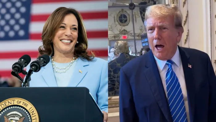 Kamala Harris Surges In National Polling Following The Debate (meidasnews.com)