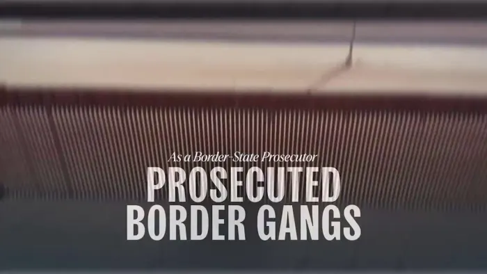 📺 Harris Campaign Launches New Ad Focused On Border Security (meidasnews.com)