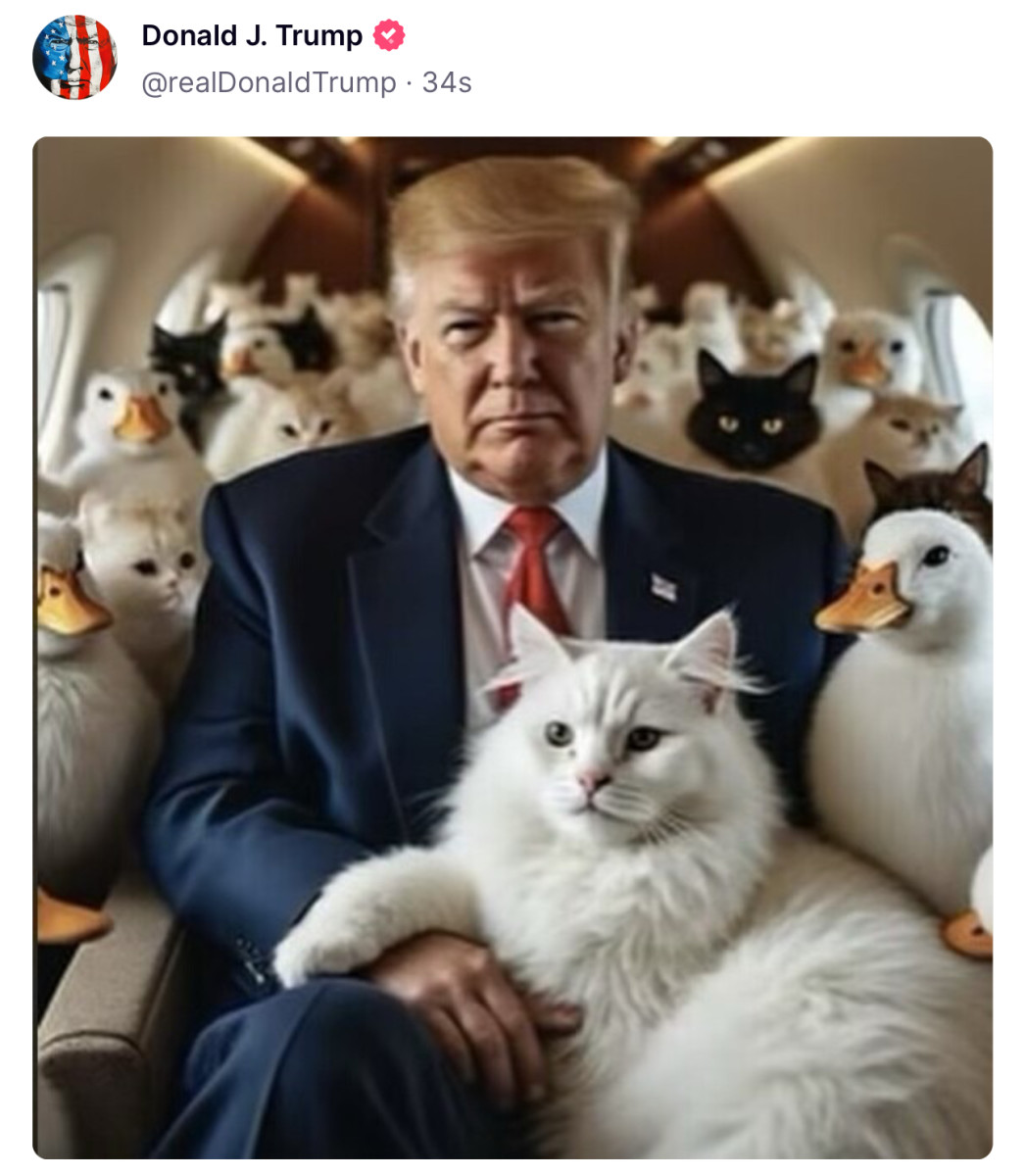 Trump Posts AI Haitian Cat Eating Hoax Memes - MeidasTouch News