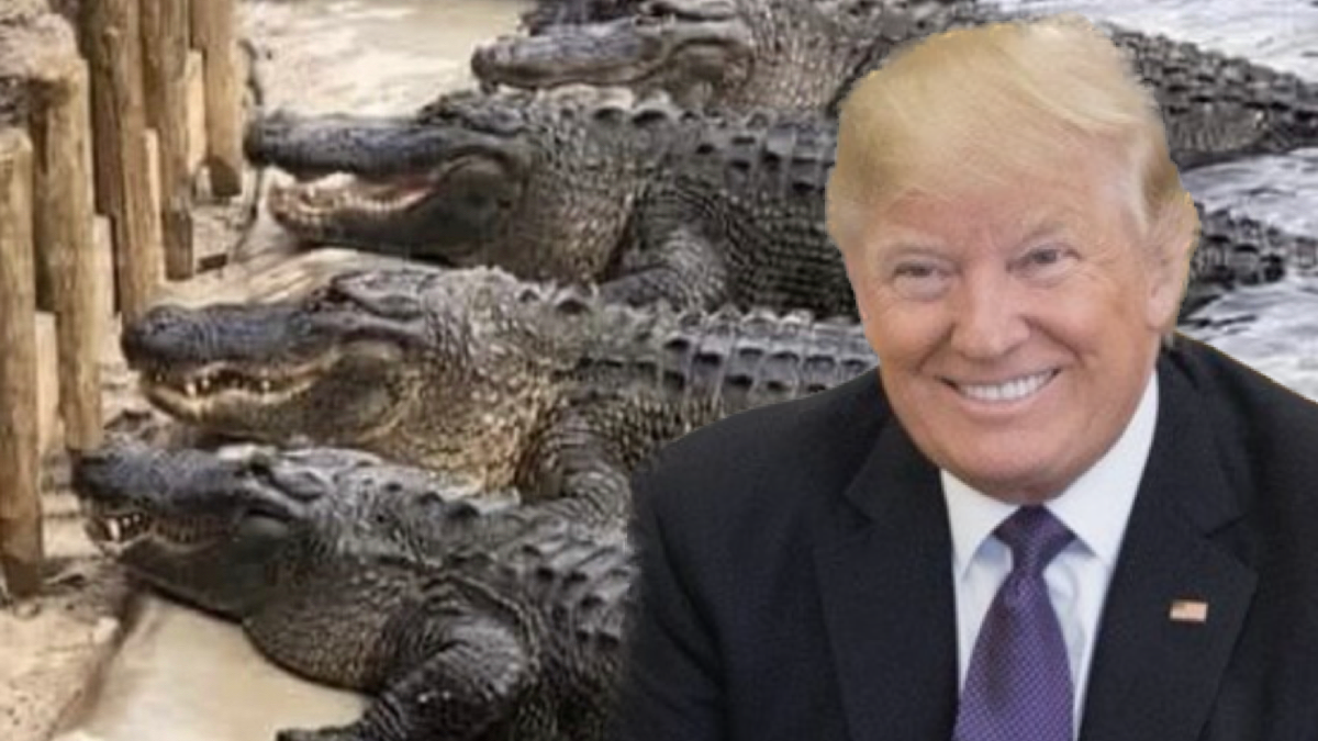 Trump Proposed Feeding Migrant Children to Alligators in Truth Social