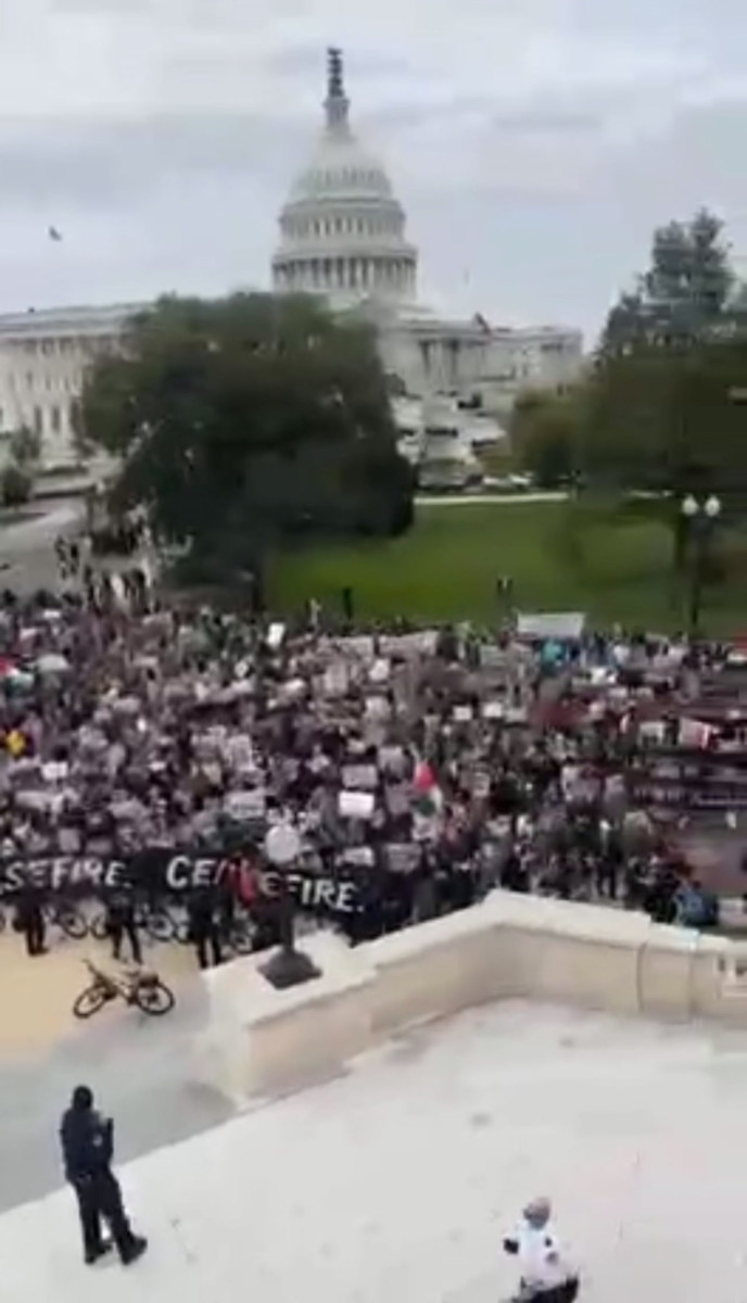 MTG Said Pro-Palestinian Means Pro-Hamas - MeidasTouch News